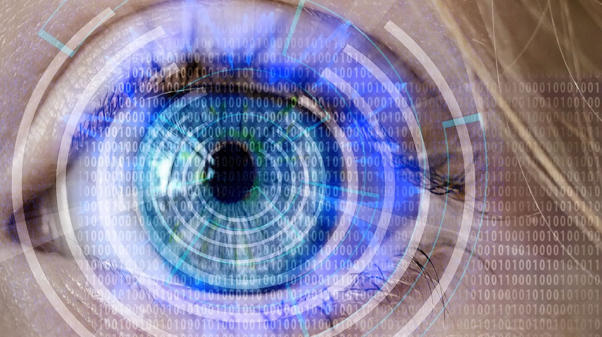 Auge auf Daten